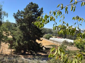 Lotes y Terrenos Quintero | venta | PARCELA 3500MTS Quintero: CLP 99000. 00