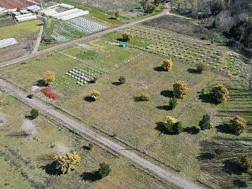 Lotes y Terrenos Quillón | venta | Parcela QUILLON: CLP 32000. 00