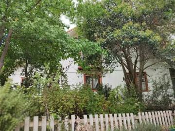 Lotes y Terrenos Quilpué | venta | Parcela en sector La Retuca, Quilpué. 60423: CLP 250000. 00