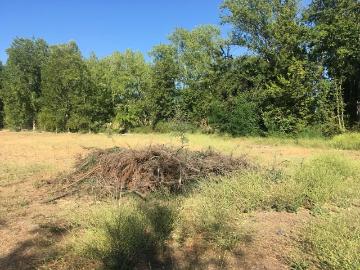 Lotes y Terrenos Requínoa | venta | Parcela en arriendo – Requínoa | Sector Las Mercedes: CLP 350000.00