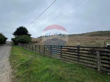 Lotes y Terrenos Saavedra | venta | Parcela lago budi: CLP 90000. 00