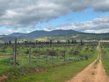 Lotes y terrenos san antonio | venta | oportunida de inversion en leyda: clp 4800000. 00