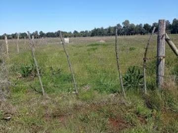 Lotes y Terrenos San Carlos | venta | Parcela: CLP 28000. 00