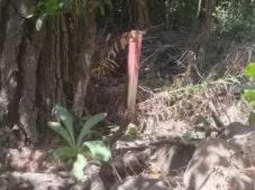 Lotes y Terrenos San Carlos | venta | Vendo sitios urbanos cordilleranos: CLP 29500. 00