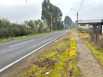 Lotes y Terrenos San Clemente | venta | Vende agroparcela de 8300m2 en san Clemente, sector Maitenes: CLP 70000. 00