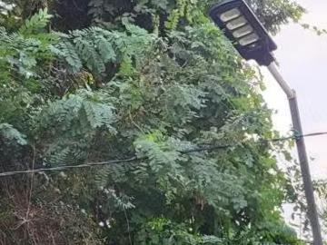 Lotes y Terrenos San Felipe | venta | de parcela en rinconada de silva: CLP 800000. 00