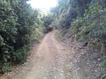 Lotes y Terrenos San José de Maipo | venta | Parcela ecológica en Cajón del Maipo: CLP 99000. 00