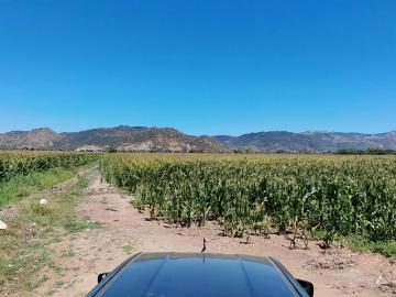 Lotes y terrenos santa cruz | venta | campo agricola 76,6 hectareas todo cultivo: clp 850000.00