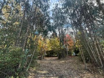 Lotes y Terrenos Santo Domingo | venta | Sitio en venta en Santo Domingo: CLF 6240.00