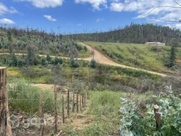 Lotes y Terrenos Santo Domingo | venta | Parcela Santo Domingo Yali Alto: CLP 31000. 00