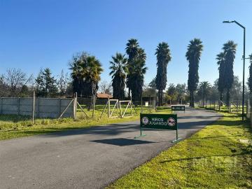 Lotes y Terrenos Talagante | venta | PARCELA Camino El Oliveto esquina Lonquen Sur: CLF 4950.00