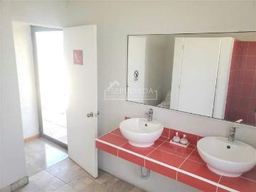 Lotes y Terrenos Talagante | venta | PARCELA Camino Santa Laura: CLF 10000.00