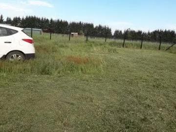 Lotes y Terrenos Temuco | venta | Vendo parcela 50.000.000 una hectarea: CLP 50000. 00