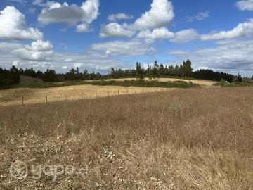 Lotes y Terrenos Temuco | venta | Parcela más 1/2 hectarea a 15 min de av alemania: CLP 30000. 00