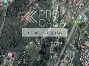 Lotes y Terrenos Valparaíso | venta | Camino Al Faro 117731: CLP 18000. 00