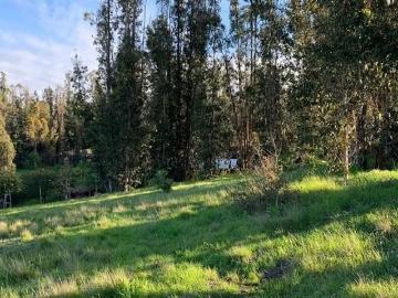 Lotes y Terrenos San Antonio | venta | Sitio en venta en San Antonio: CLF 1850.00