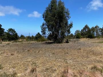 Lotes y Terrenos Valparaíso | venta | Parcela en venta en Algarrobo: CLF 2850.00