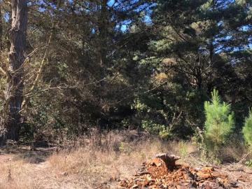 Lotes y Terrenos Valparaíso | venta | Parcela LAGUNA VERDE: CLF 950.00