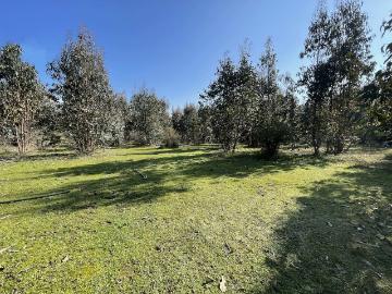 Lotes y Terrenos Vichuquén | venta | Parcelas en Vichuquén oferta a minutos playa Llico crédito: CLP 12990. 00