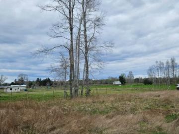 Lotes y Terrenos Villarrica | venta | PARCELA 5000M2 VILLARRICA: CLP 42000. 00