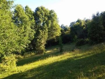 Lotes y Terrenos Villarrica | venta | Parcela villarrica: CLP 35000. 00