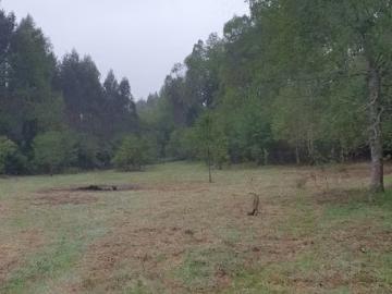 Lotes y Terrenos Villarrica | venta | Parcela en venta en Villarrica: CLP 60000. 00