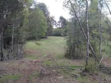 Lotes y Terrenos Villarrica | venta | Parcela en venta en Villarrica: CLP 199000. 00