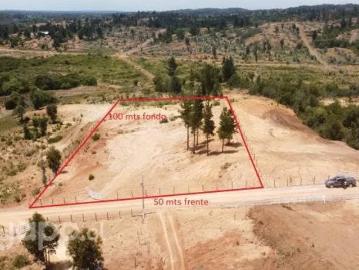 Lotes y Terrenos Yumbel | venta | Vendo Hermosa Parcela 5000 mts2 Pachagua Yumbel: CLP 13500. 00