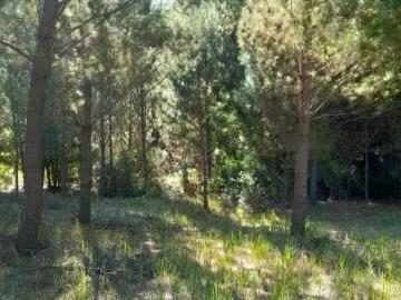 Lotes y Terrenos Yumbel | venta | Parcela en Yumbel, sector Tapihue: CLP 22000. 00