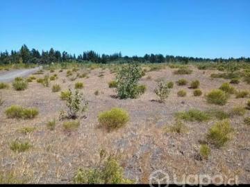 Lotes y Terrenos Yungay | venta | Parcela: CLP 18000. 00