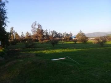 Lotes y Terrenos Zapallar | venta | Parcela CATAPILCO: CLP 48000. 00