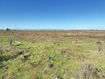 Lotes y Terrenos Ñiquén | venta | Agrícola en venta en Ñiquén 241,8 Hectáreas: CLP 2611440. 00