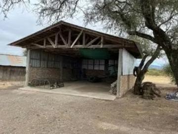 Lotes y Terrenos Ñiquén | venta | Agrícola en venta en Ñiquén 305 Hectáreas Paredones: CLP 3050000. 00