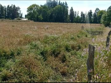 Lotes y Terrenos Ñiquén | venta | Parcela con agua y rol propio en San Gregorio 116384: CLP 44000. 00