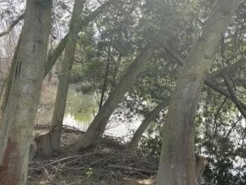 Lotes y Terrenos Ñiquén | venta | Parcela de agrado 5.000 mts. CLP 35000. 00