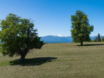 Lotes y Terrenos Ñiquén | venta | Parcelas Camino A San Fabian De Alico En Liquidación 5000m2: CLP 9990. 00