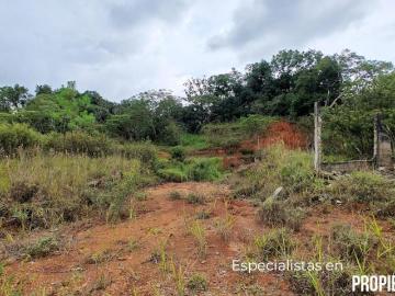 LOTES CON SERVICIOS EN XICOTEPEC DE JUÁREZ