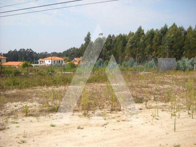 Lotes de terreno, com 325m2
