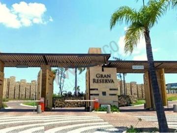 Lotes de terreno con precio de oportunidad en gran reserva