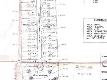 LOTES DE TERRENO EN VENTA EN ALLENDE NL #4