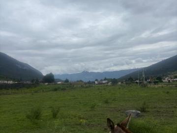 Lotes de terreno venta en Mesa de lasTablas, S. Antonio de las Alazanas, Coahu