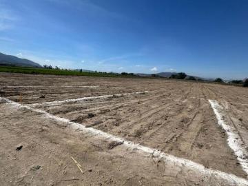 lotes de terreno