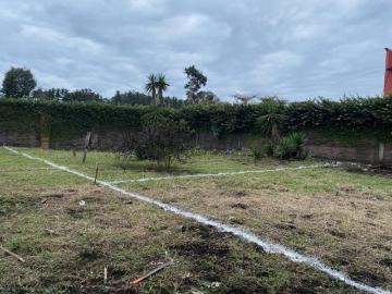 LOTES EN VENTA EN MI RANCHITO XICOTEPEC DE JUAREZ PUEBLA
