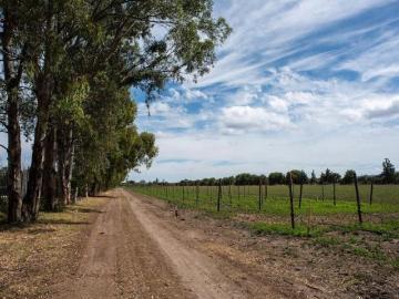 Lotes en Viñedo Santa Catalina