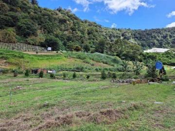 Lotes en Los Naranjos