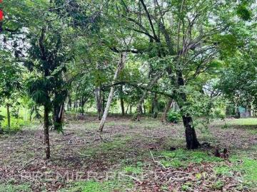LOTES EN MALIBU GORGONA L1906 194/195