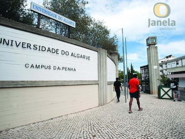 Lotes para desenvolver construção de 65 fogos