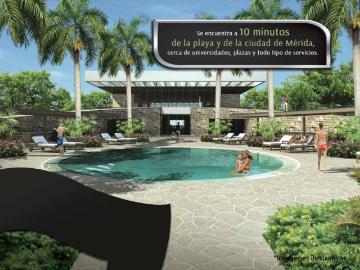 Lotes residenciales en preventa en Xcunya