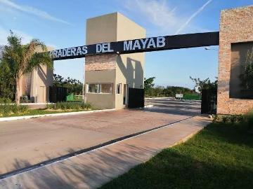 Lotes Residenciales en Preventa PRADERAS DEL MAYAB, en Conkal