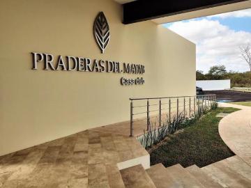 Lotes residenciales en Privada Praderas del Mayab Conkal. Carretera a Chicxulub